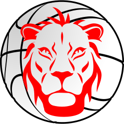Lions Carouge logo